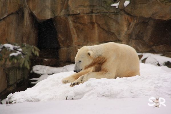 Februar-2010 7150
