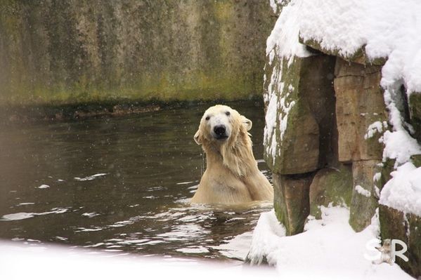 Februar-2010 7151