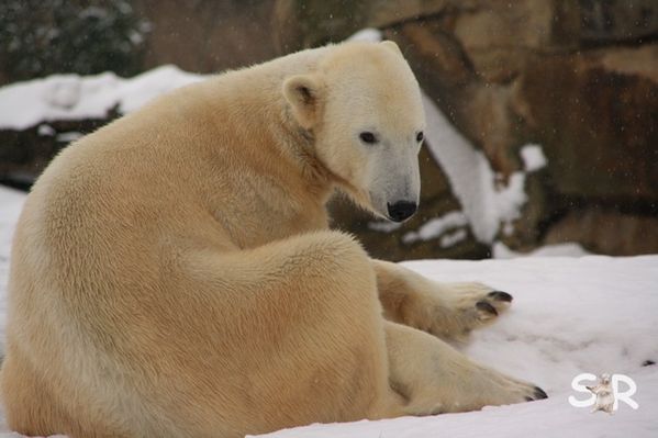 Februar-2010 7329