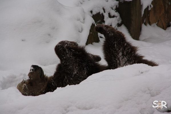Februar-2010 7442