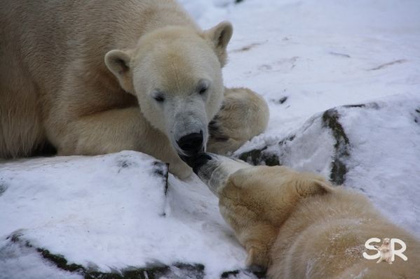 Januar-2010 2036