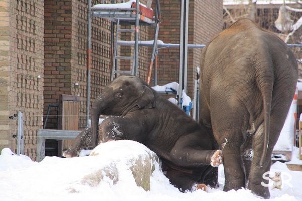 Januar-2010 2281