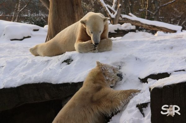 Januar-2010 2628