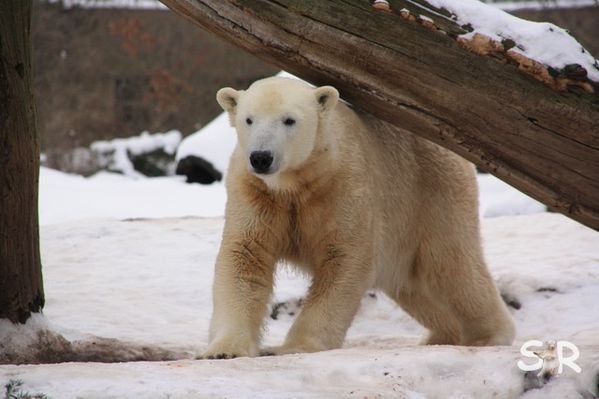 Januar-2010 2796
