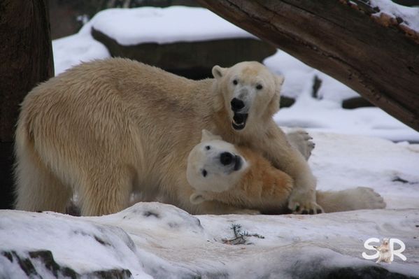 Januar-2010 2912