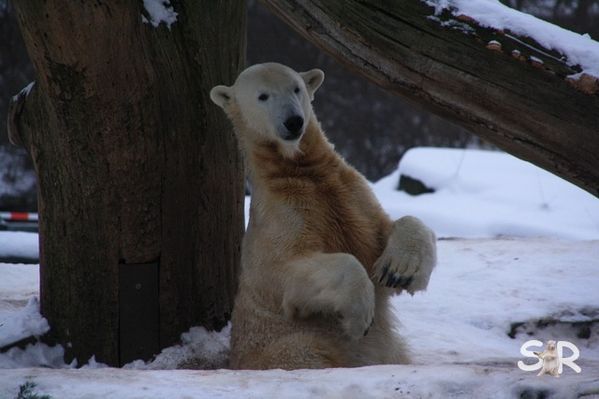 Januar-2010 2932