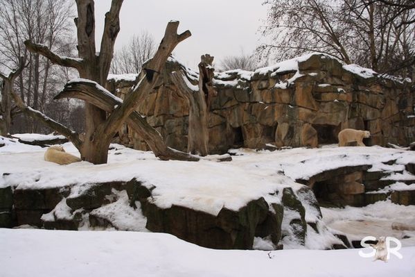 Januar-2010 4596