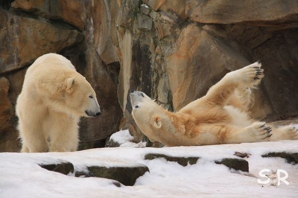 Januar-2010 4667