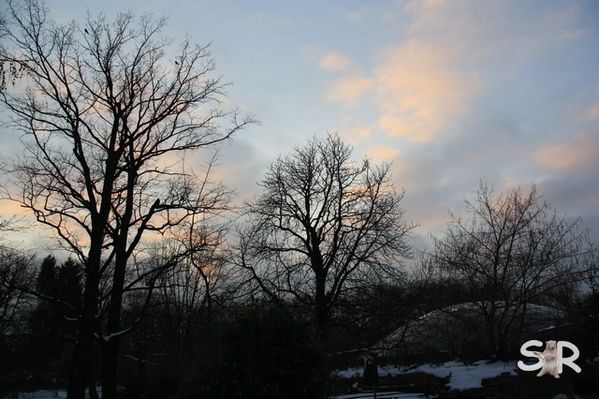 Januar-2010 4761
