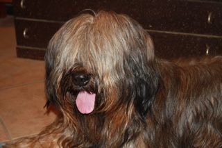 deria wichteln II 4