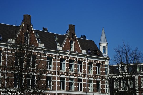 Amsterdam 010