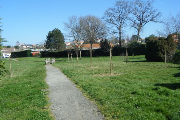 DSCF3559.JPG