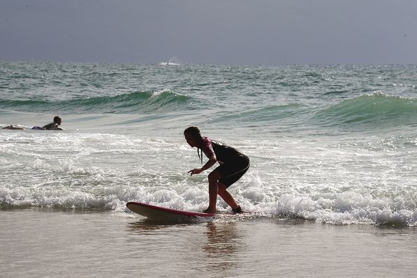 Surf 6013mm