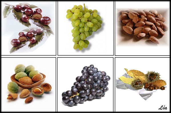 fruits-d-automne.jpg