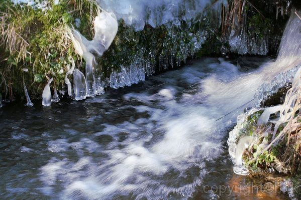 Ruisseau