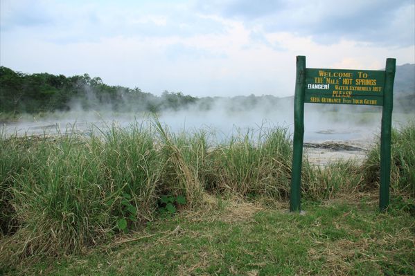 Nyasimbe springs - wordpress