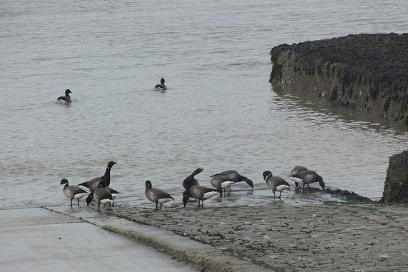 prem-marais-093.JPG