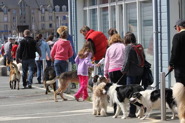 paimpol-2-4645.JPG