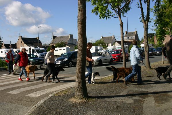 sortie-a-paimpol-0032.JPG