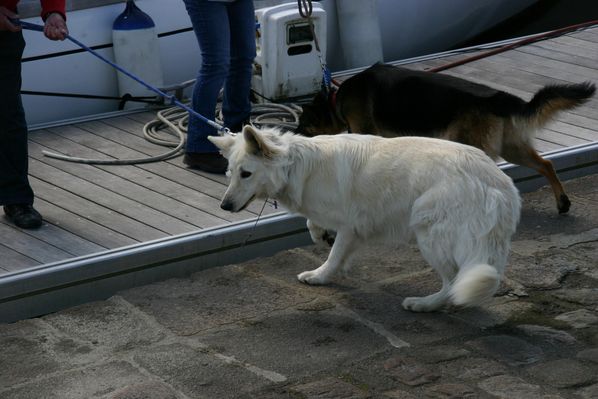 sortie-a-paimpol 0255
