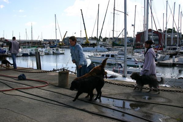 sortie-a-paimpol 0268