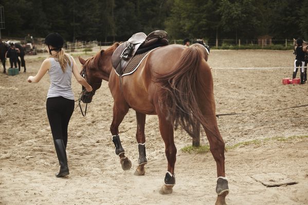 Cam-Cheval-1714.jpg