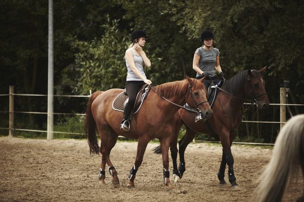 Cam-Cheval-1723.jpg