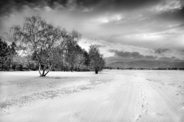 chemin-d-hiver-iv-nbx680.jpg