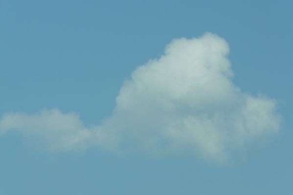 P1070006.JPG