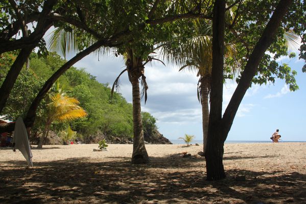 petite anse - pointe noire (2)