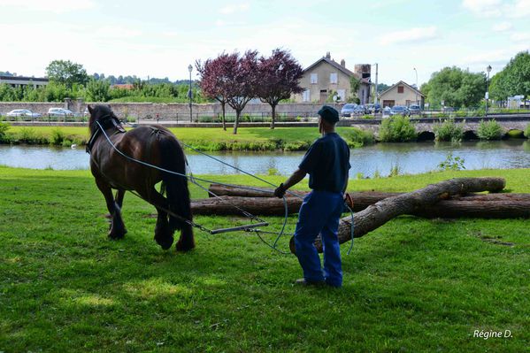 rencontre equestre