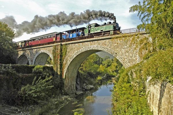 train