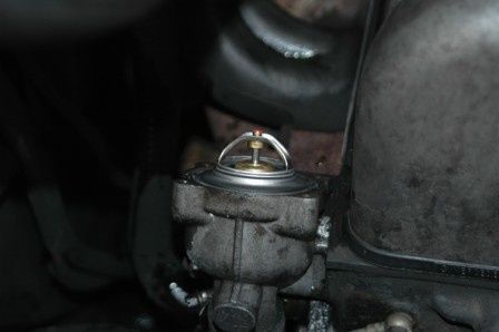 DSC_4019m.JPG