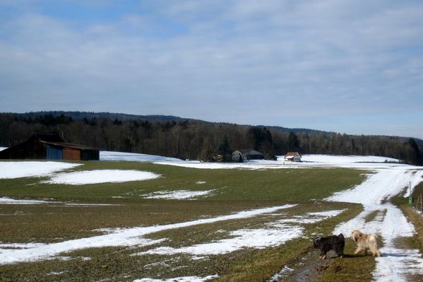 hhh-056.JPG
