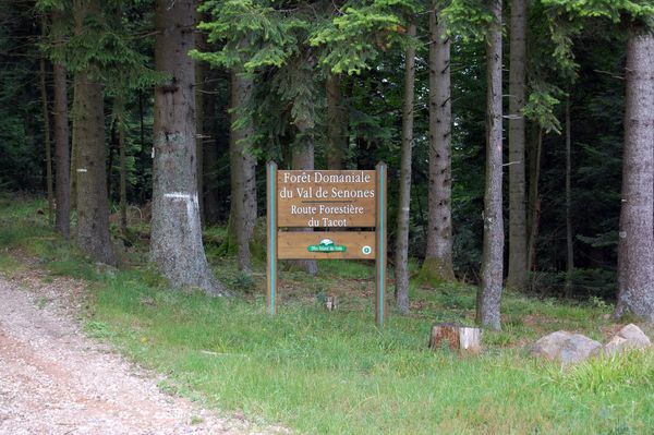 grele-donon-route-forestier-du-tacot-000930740009.JPG