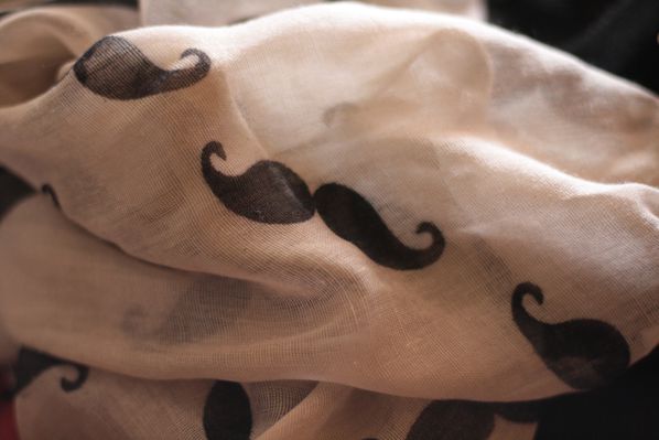 Foulard-moustache.jpg