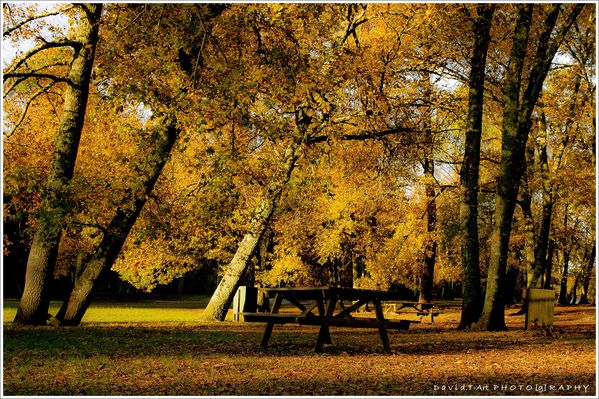 landscpae (MIOS, gironde) (2)