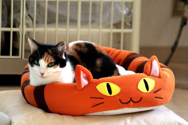 Hello Japan - Totoro Bed 4 Cat