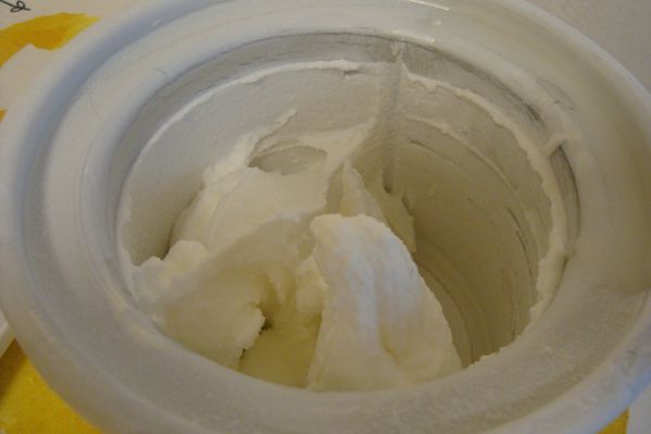 000 CITRONS GIVRES CURD (3)