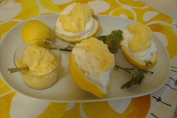 000 CITRONS GIVRES CURD (4)