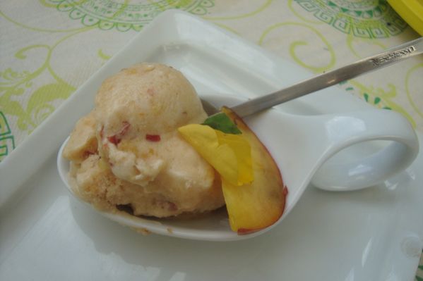 000 SORBET PECHE GALANGA (5)