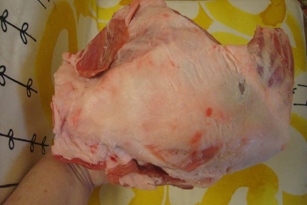 0000 gigot (1)