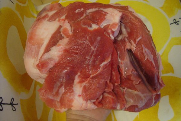 0000 gigot (2)