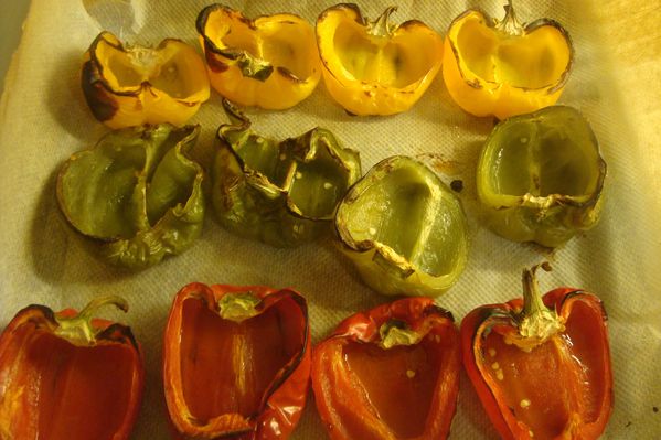 00000 pippa pepper (2)
