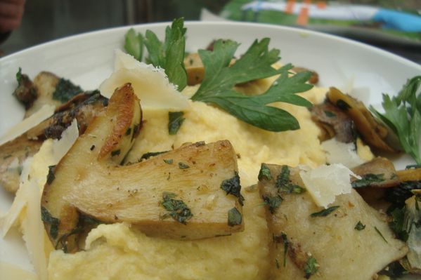 000 polenta cepes (9)