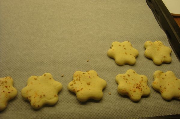 000 etoiles apéritives au parmesan (3)