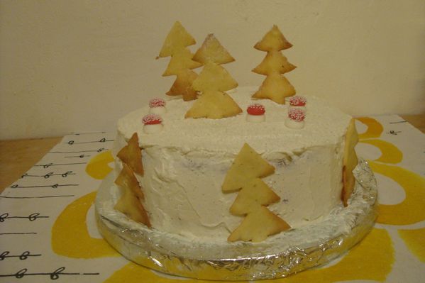 000 gateau noel (16)