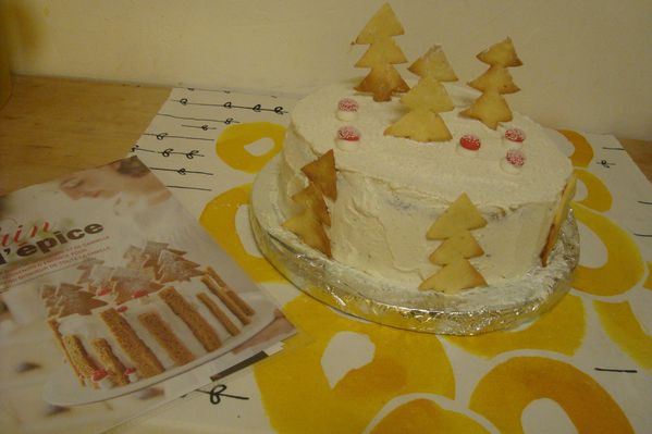 000 gateau noel (19)