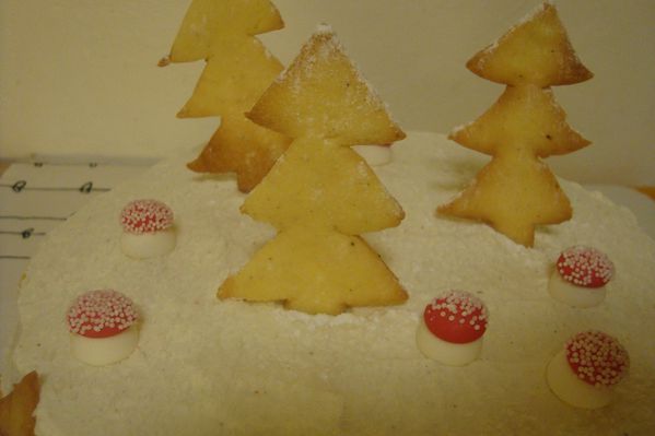 000 gateau noel (20)