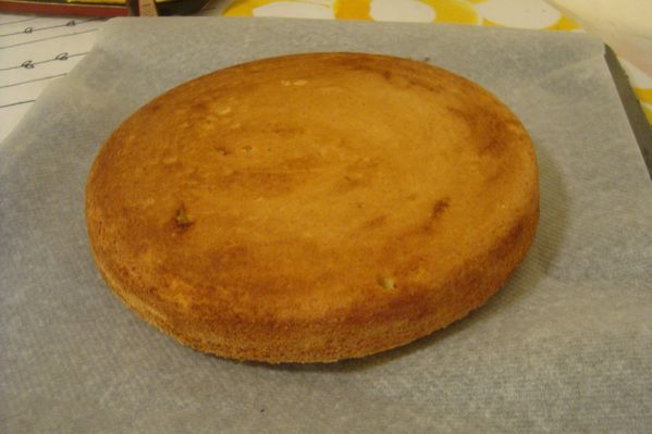 000 gateau noel (4)
